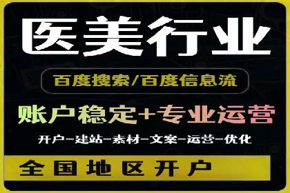 SEM广告投放策略：成功案例解析