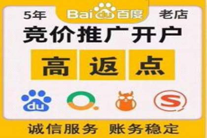 百度推广与品牌建设：成功品牌推广案例解析